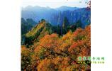 長沙往返張家界、天子山、寶峰湖/黃龍洞三日游