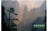 張家界國家森林公園、寶峰湖/黃龍洞、鳳凰古城、三峽八日游