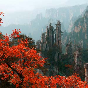 休閑自駕E線：張家界、袁家界、天子山、寶峰湖、鳳凰古城、沱江泛舟四晚五日游